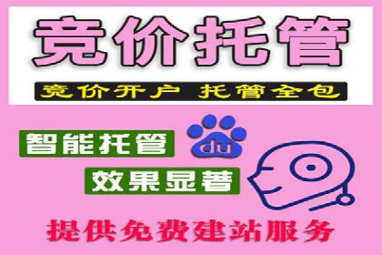 SEM实战案例：案例分析广告效果评估
